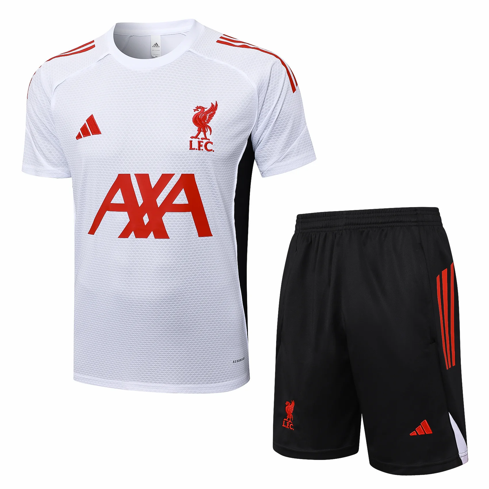 Trikot 2025 2026 - FC Liverpool Trainingsshirt | trikotfussballshop