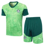 Trikot 2025 2026 - Palmeiras Trikot Training | trikotfussballshop