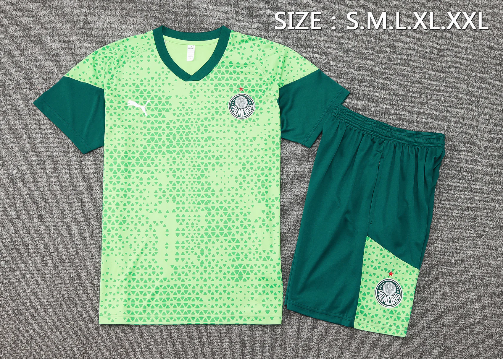 Trikot 2025 2026 - Palmeiras Trikot Training | trikotfussballshop