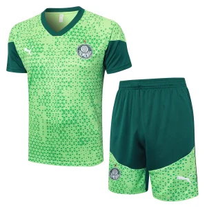 Trikot 2025 2026 - Palmeiras Trikot Training | trikotfussballshop