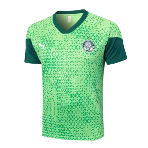 Trikot 2025 2026 - Palmeiras Trikot Training | trikotfussballshop