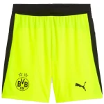 Borussia Dortmund Trikot 2025 2026 | trikotfussballshop