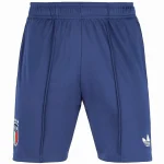 Italien Trikot 2026 - Italien Trikot 2024 | trikotfussballshop