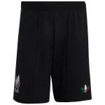 Mexiko Trikot 2026 - Mexiko Fußballtrikot 2025 | trikotfussballshop