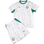 Set 2026 - Senegal Fußballtrikot Kindergröße | trikotfussballshop
