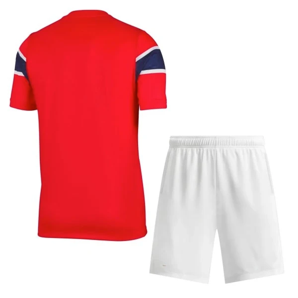 Norwegen Set 2026 - Norwegen Fußballtrikot Herren | trikotfussballshop