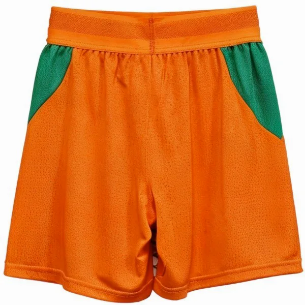 Ivory Coast Trikot 2026 - Ivory Coast Trikot 25 26 | trikotfussballshop