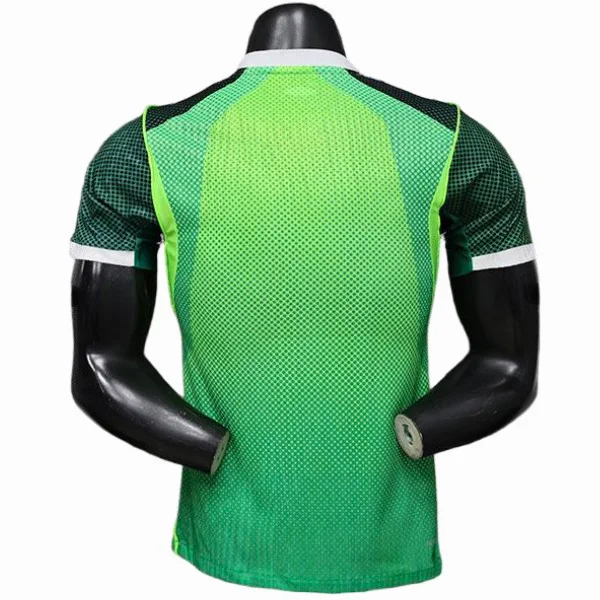 Nigeria Trikot 2026 - Nigeria Trikot 2025 | trikotfussballshop