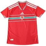 Wales Trikot 2026 | trikotfussballshop