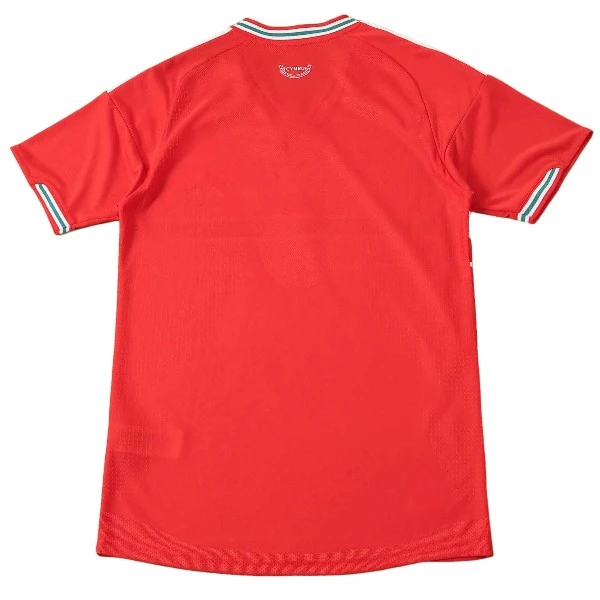 Wales Trikot 2026 | trikotfussballshop