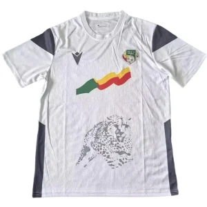 Benin Trikot 2023 | trikotfussballshop