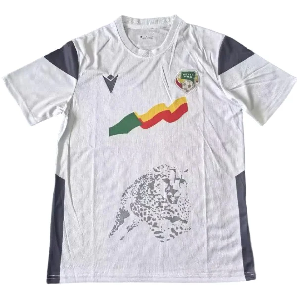Benin Trikot 2023 | trikotfussballshop