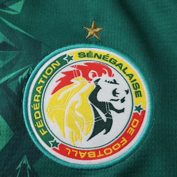 Senegal Trikot 2026 - Senegal Trikot 2024 | trikotfussballshop