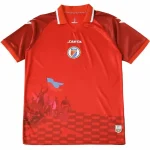 Haiti Trikot 2026 - Haiti Fußballtrikot 2025 | trikotfussballshop