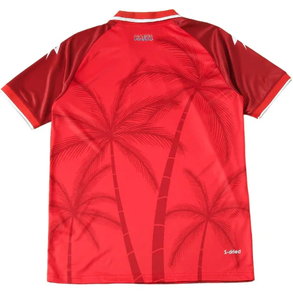 Haiti Trikot 2026 - Haiti Fußballtrikot 2025 | trikotfussballshop