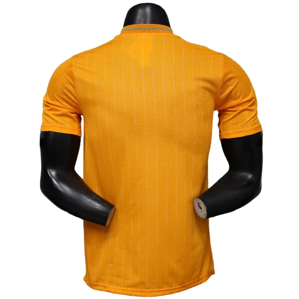 Ivory Coast Trikot 2026 - Ivory Coast Trikot 25 26 | trikotfussballshop