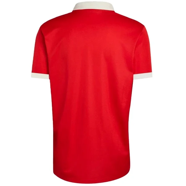 Wales Trikot 2026 | trikotfussballshop
