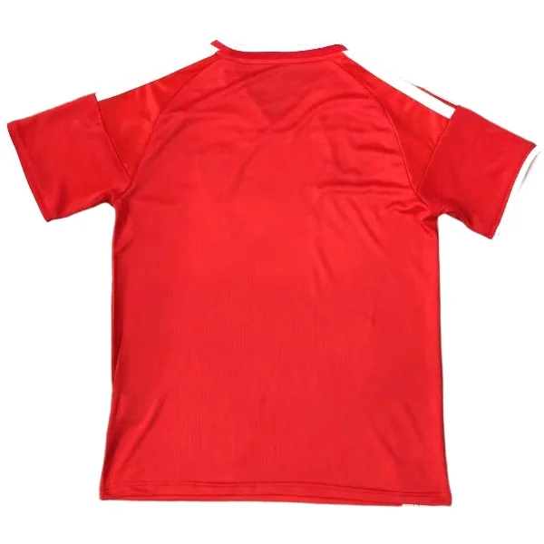 Wales Trikot 2026 | trikotfussballshop