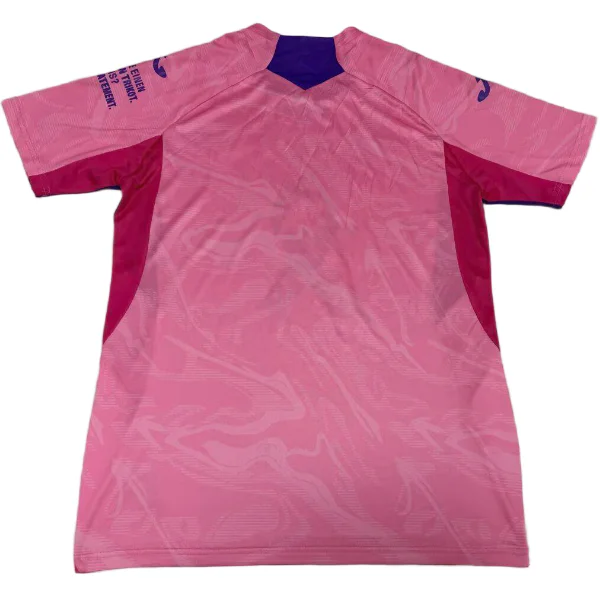Hoffenheim Trikot 2025 2026 - Trikot Hoffenheim | trikotfussballshop