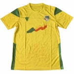 Benin Trikot 2023 | trikotfussballshop