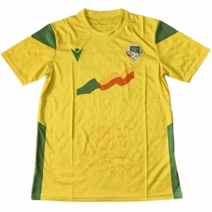 Benin Trikot 2023 | trikotfussballshop