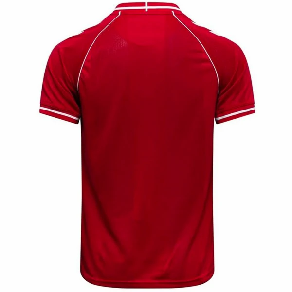 Dänemark Trikot 2026 - Dänemark Fußballtrikot 25 26 | trikotfussballshop