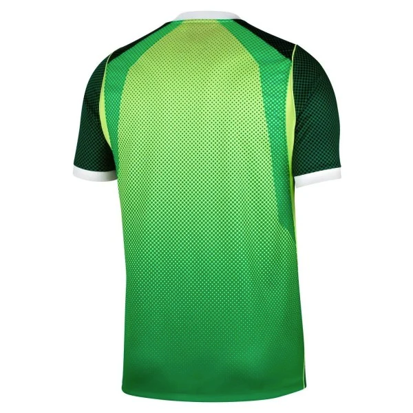 Nigeria Trikot 2026 - Nigeria Trikot 2025 | trikotfussballshop