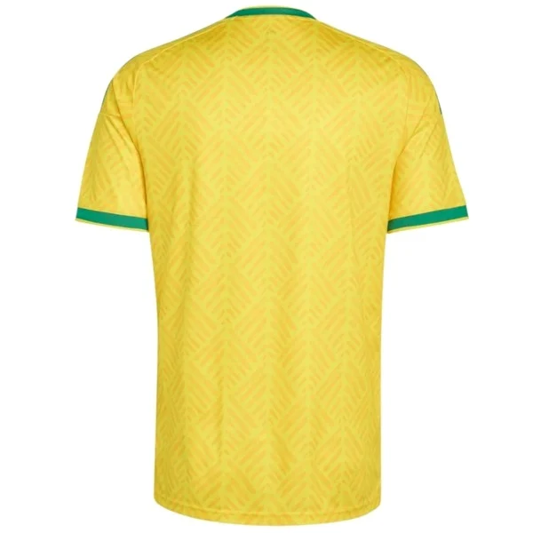 Sudafrica Trikot 2026 - Südafrika Trikot 2024 | trikotfussballshop