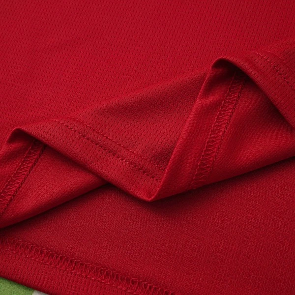 Tschechien Trikot 2026 - Tschechien Trikot 2024 | trikotfussballshop