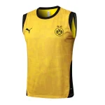 Borussia Dortmund Trikot 2025 2026 - Borussia Dortmund Trainingsshirt 2025 | trikotfussballshop