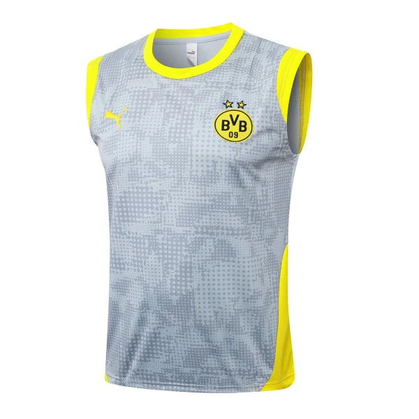 Borussia Dortmund Trikot 2025 2026 - Borussia Dortmund Trainingsshirt 2025 | trikotfussballshop