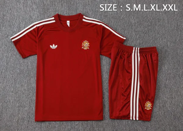 Spanien Set 2026 - Spanien Trainingstrikot 23/24 | trikotfussballshop