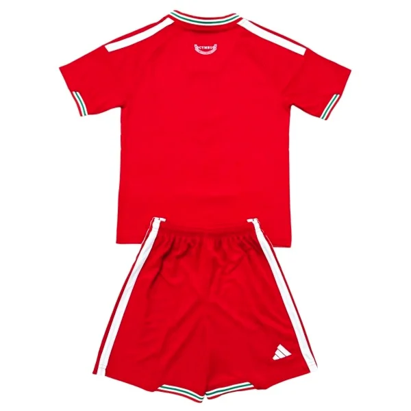 Wales Set 2026 - Wales Günstig | trikotfussballshop