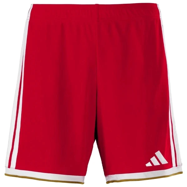 Bayern München Hose 2026 2027 - Hose Bayern München | trikotfussballshop