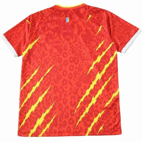 Kongo Trikot 2026 - Trikot Congo | trikotfussballshop