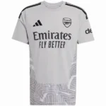 FC Arsenal Trikot 2026 2027 Grau - Trikot FC Arsenal | trikotfussballshop