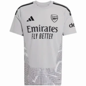 FC Arsenal Trikot 2026 2027 Grau - Trikot FC Arsenal | trikotfussballshop