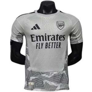 FC Arsenal Trikot 2026 2027 Grau - Trikot FC Arsenal | trikotfussballshop