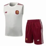 Argentinien Trikot 2026 Gelb - Trikot Argentinien | trikotfussballshop