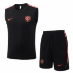 Niederlande Trikot 2026 Schwarz - Trikot Niederlande | trikotfussballshop